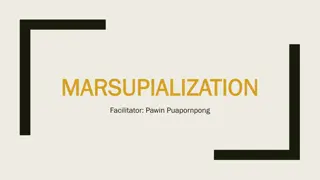Marsupialization for Bartholin's Cysts: Procedure and Indications