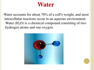 Fascinating Properties of Water and Its Importance in Cells
