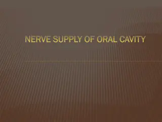 Nerve Supply of Oral Cavity in Dentistry
