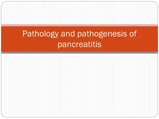Pancreatitis: Causes, Symptoms, and Management