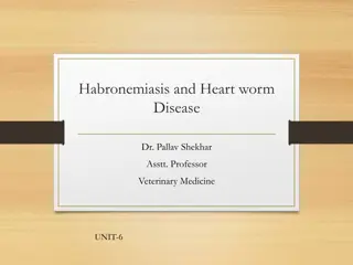 Habronemiasis and Heartworm Disease in Veterinary Medicine