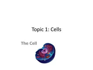 Exploring the Fascinating World of Cells and Microorganisms