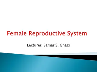Engaging Lecture Presentation by Lecturer Samar S. and Ghazi - Slides Showcase