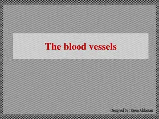 The Structure and Function of Blood Vessels