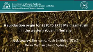 Geochemical Study of Archean Magmatism in Western Youanmi Terrane