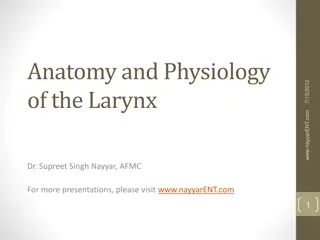 The Anatomy and Physiology of the Larynx