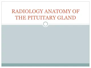 Radiology and Anatomy of the Pituitary Gland