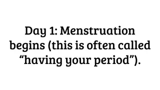 Menstruation: The Menstrual Cycle Explained