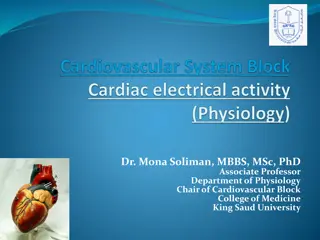 Cardiac Electrical Activity: Understanding the Heart's Specialized Conduction System