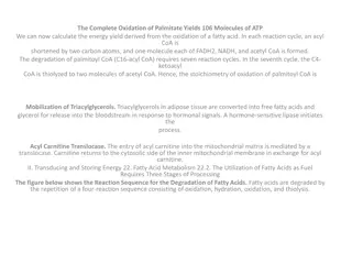 Fatty Acid Degradation Pathways