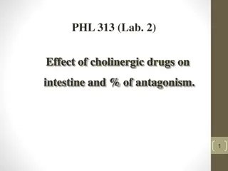Cholinergic Drugs and Antagonism in Intestinal Effects: Lab Insights