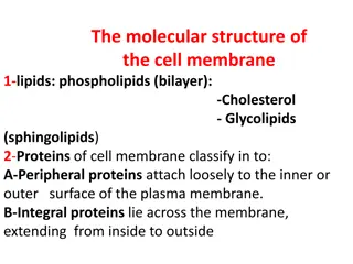Functions and Classification of Cell Membrane Proteins
