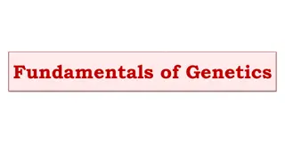 Genetics: Fundamentals, Genes, and Mendelian Principles
