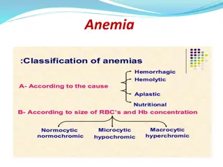 Anemia: Causes, Diagnosis, and Management