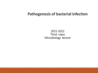 Bacterial Infection Pathogenesis: Mechanisms and Factors
