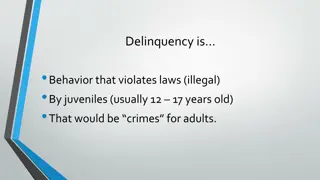 Different Types of Delinquency Offenses