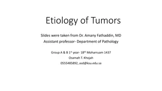 The Etiology of Tumors and Cancer Incidence