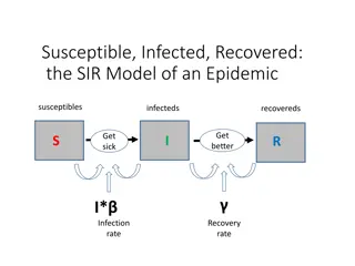 The SIR Epidemic Model for Disease Spread