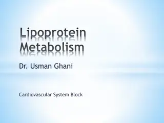 Lipoprotein Metabolism in Cardiovascular System