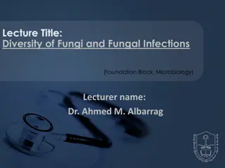 Fungi Diversity and Infections in Microbiology Lectures