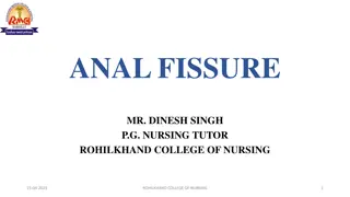 Anal Fissures: Causes, Symptoms, and Management