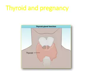 Thyroid Function in Pregnancy: Changes and Implications