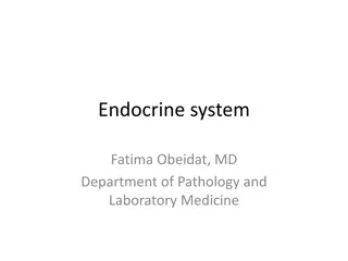Stress Ulcers: Definition, Epidemiology, and Management