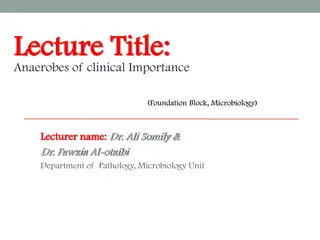 Clinical Importance of Anaerobes in Microbiology Lectures