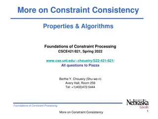 Foundations of Constraint Processing: Global Consistency Properties