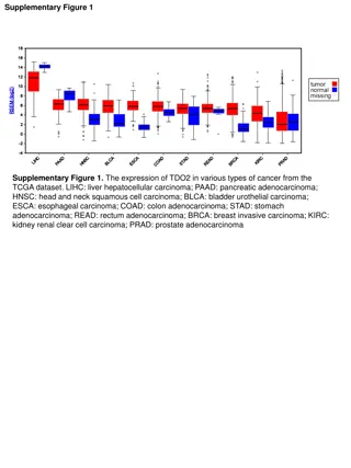 TDO2 Expression in Different Cancer Types: Immunohistochemical Analysis and Inhibition Effects