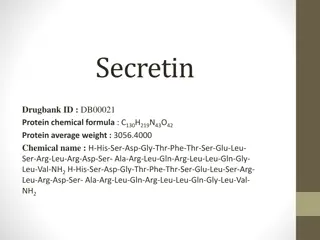 Synthetic Secretin: Uses, Mechanism of Action, and Drug Interactions