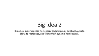 Biological Systems: Energy Utilization and Homeostasis