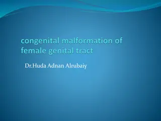 Genetic and Anatomical Differentiation in Human Embryos