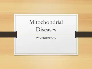 Mitochondrial Diseases and Their Genetic Implications