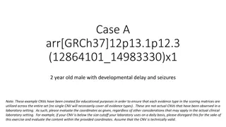 Male with Developmental Delay and Seizures - Genetic Assessment Report