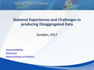 Challenges and Opportunities in Producing Disaggregated Data for National Statistical Systems