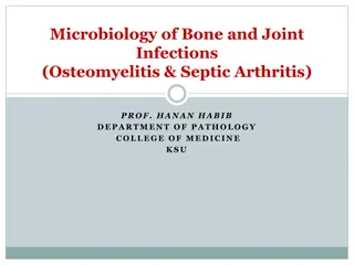 Microbiology of Bone and Joint Infections: Insights and Management