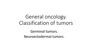 Germinal Tumors Classification in Oncology