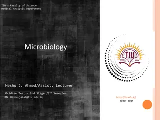 Oxidase Test for Bacteria Identification