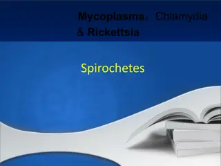 Spirochetes and Associated Human Diseases