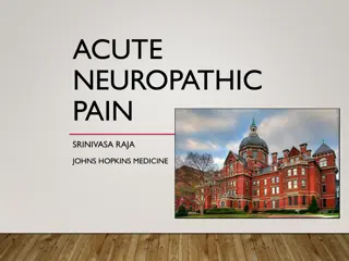 Neuropathic Pain: Grading, Phenotyping, and Taxonomy Considerations