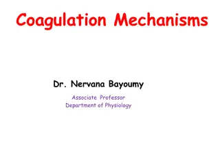 Blood Coagulation Mechanisms and Factors