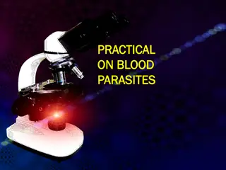 Laboratory Diagnosis of Malaria and Methods for Parasitological Detection