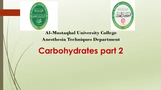 Carbohydrate Metabolism Overview