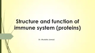 Role of Cytokines in the Immune System