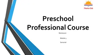 Montessori Sensorial Activities for Preschool Development