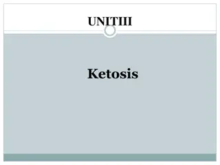 Understanding Ketosis and Its Mechanisms