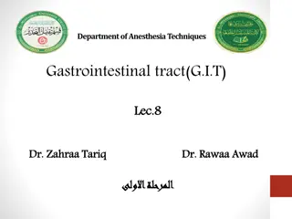 Gastrointestinal Tract: An Overview of Digestive System