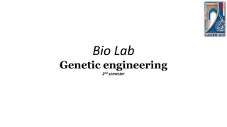 Genetic Engineering: Manipulating DNA for Improved Organisms