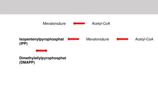 Terpenoid Biosynthesis Pathway: From Mevalonate to Tetraterpenes